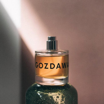 Plain Tiger Spotlight: House of Gozdawa