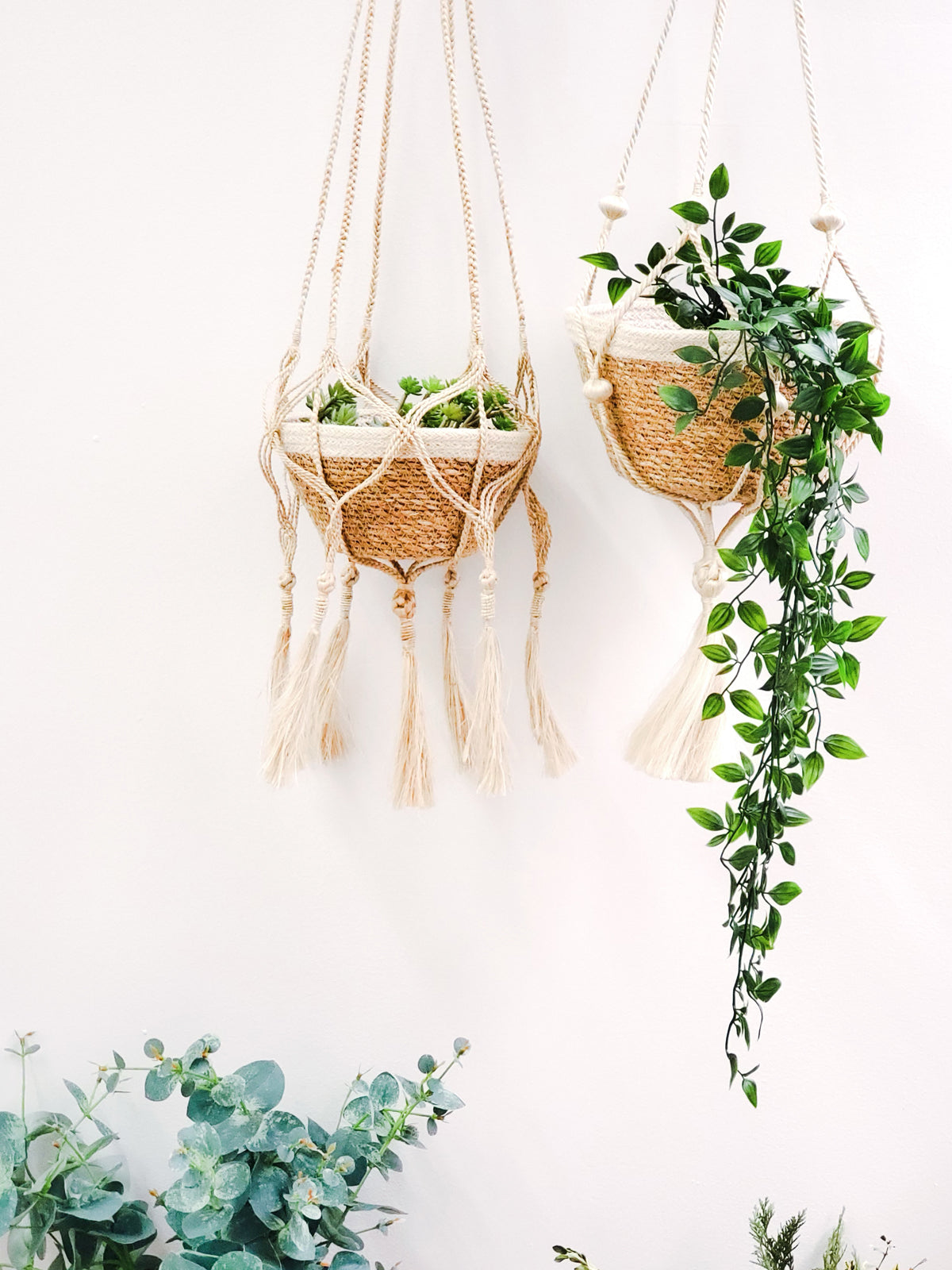 Plant Hanger | Nadu