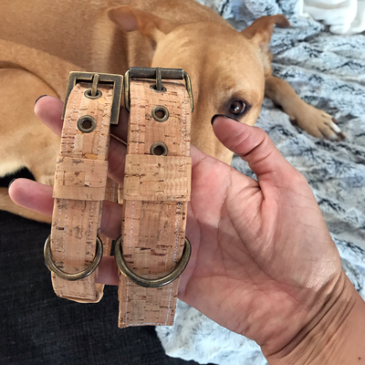 Bark Natural Cork Dog Collar