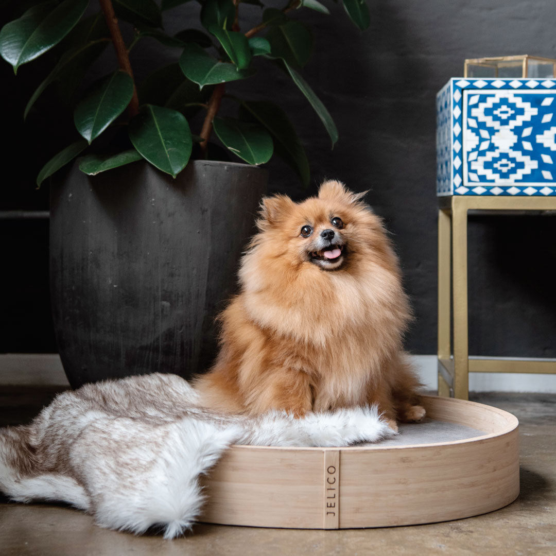 Brigitte Round Bamboo Pet Bed