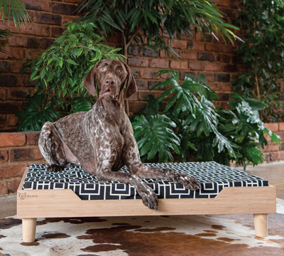 Charlie Large Bamboo Dog Bed