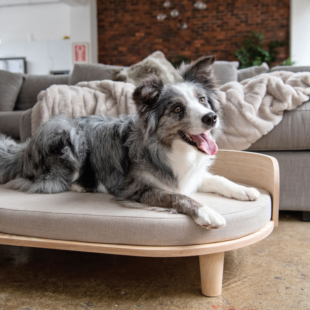 Fable Oval Bamboo Pet Lounger