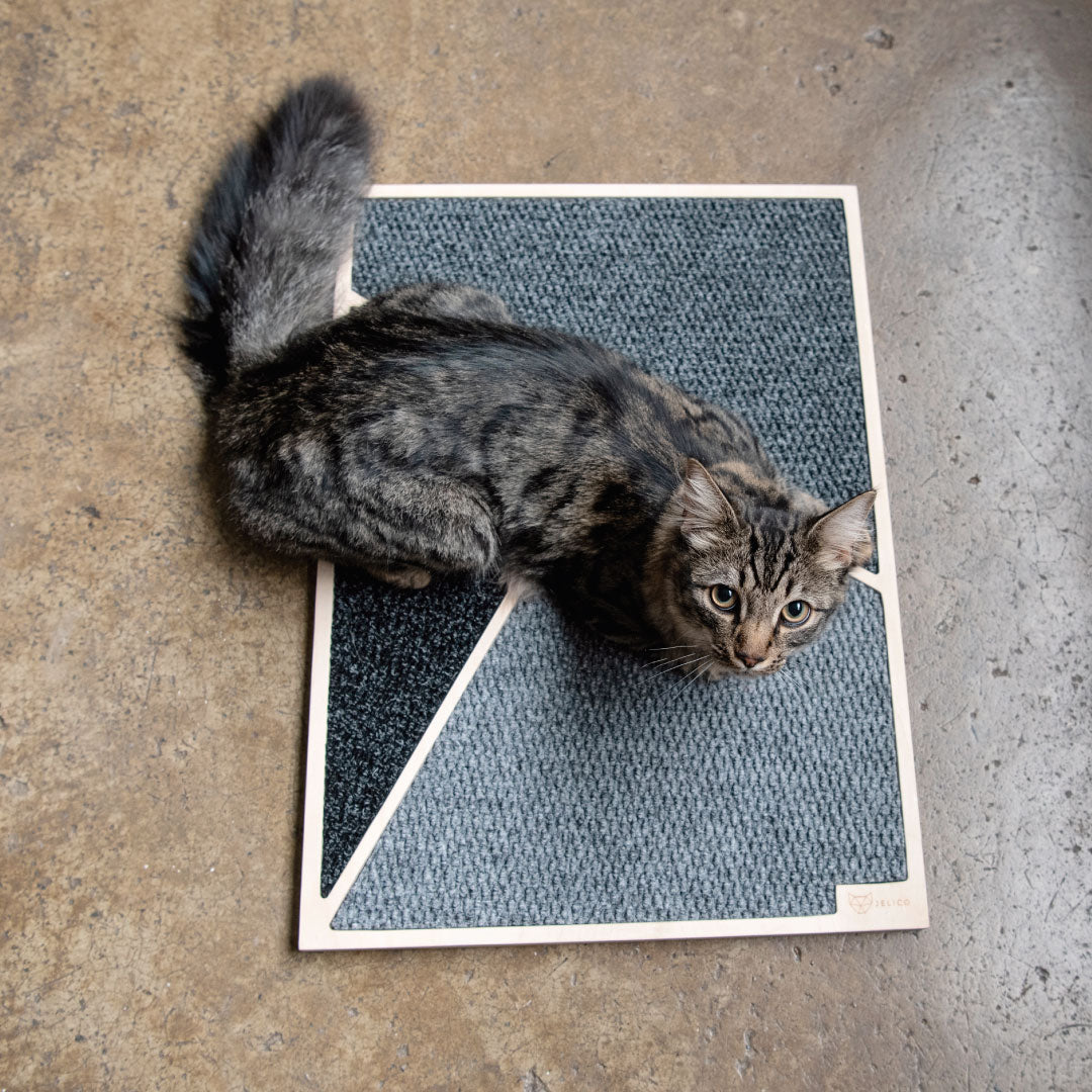 Cat Scratch Pad