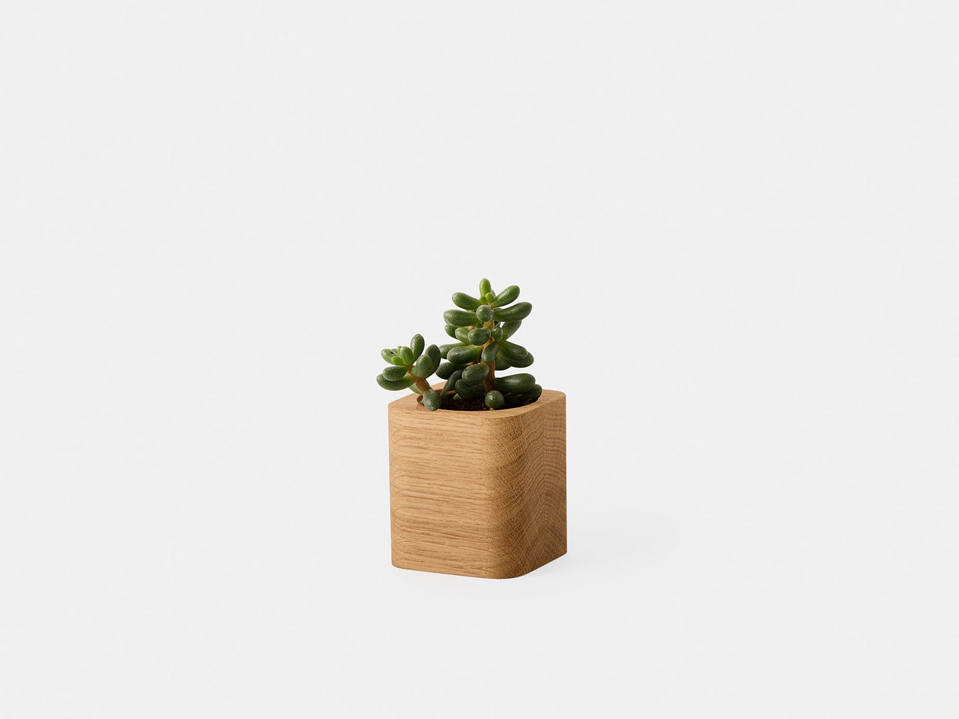 Cubic Pot