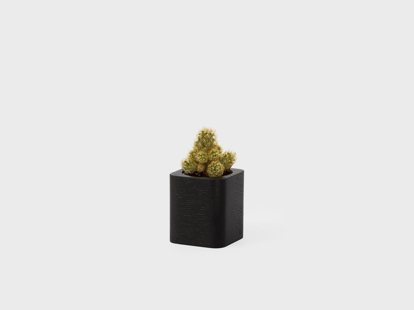 Cubic Pot