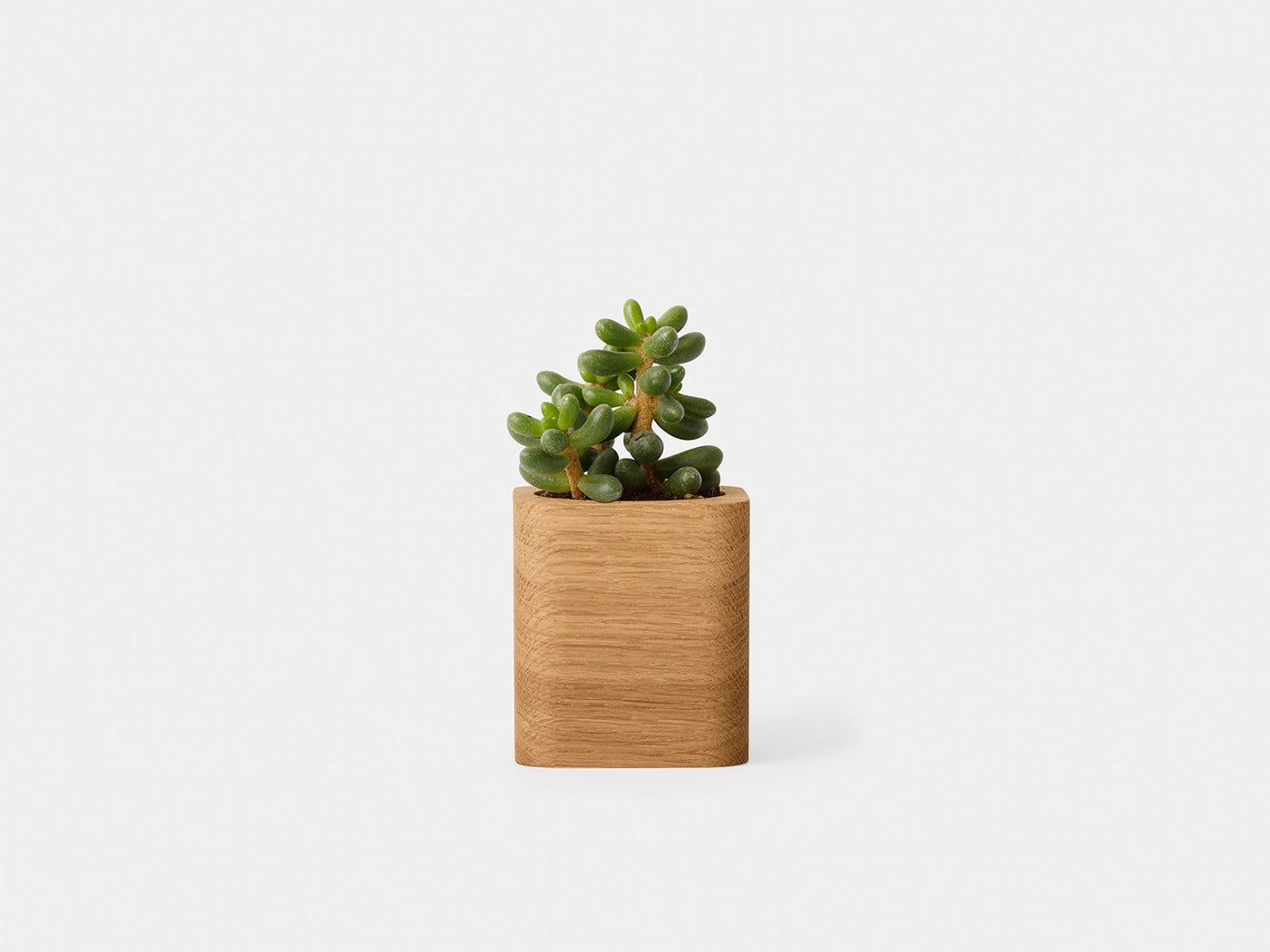 Cubic Pot