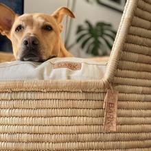 Bark Big Dreams Bed