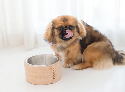 Rolex Round Bamboo Pet Bowl