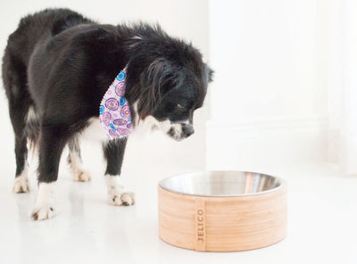 Rolex Round Bamboo Pet Bowl