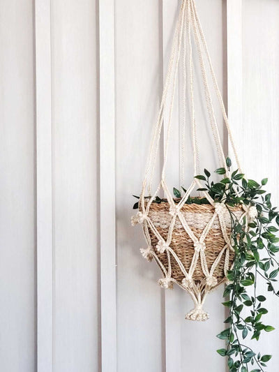 Plant Hanger | Shuly