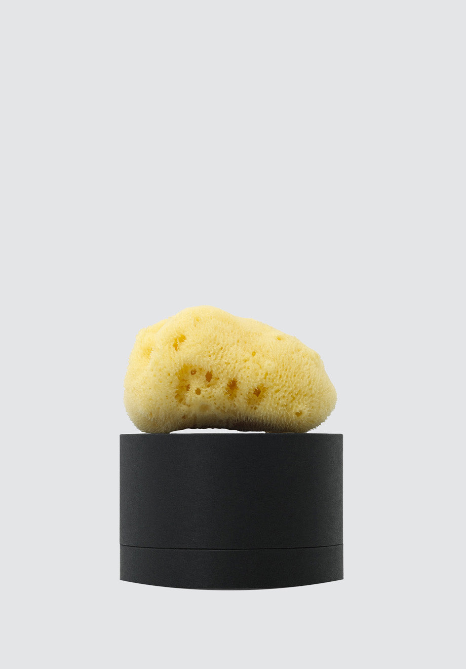 La Lune Sur L'eau | Fine Silk Sea Sponge