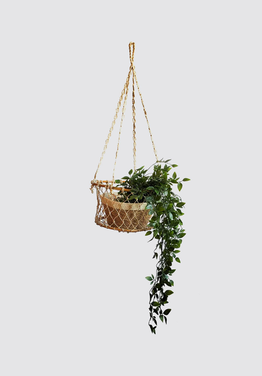 Jhuri Single Hanging Basket