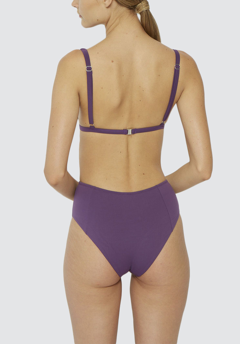 Asylum Brief | Lavender