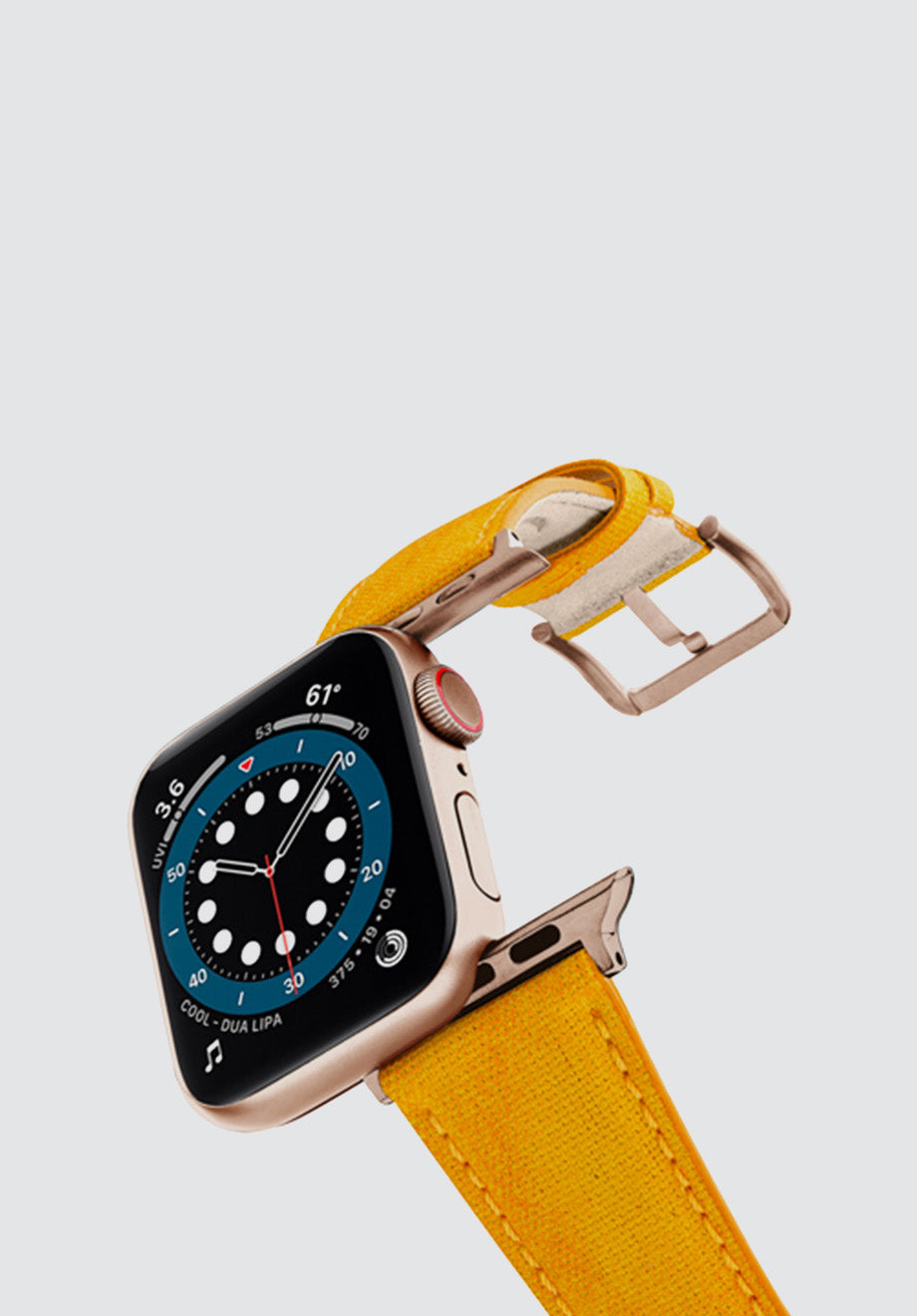 REcycled Golden Apple Watch Band