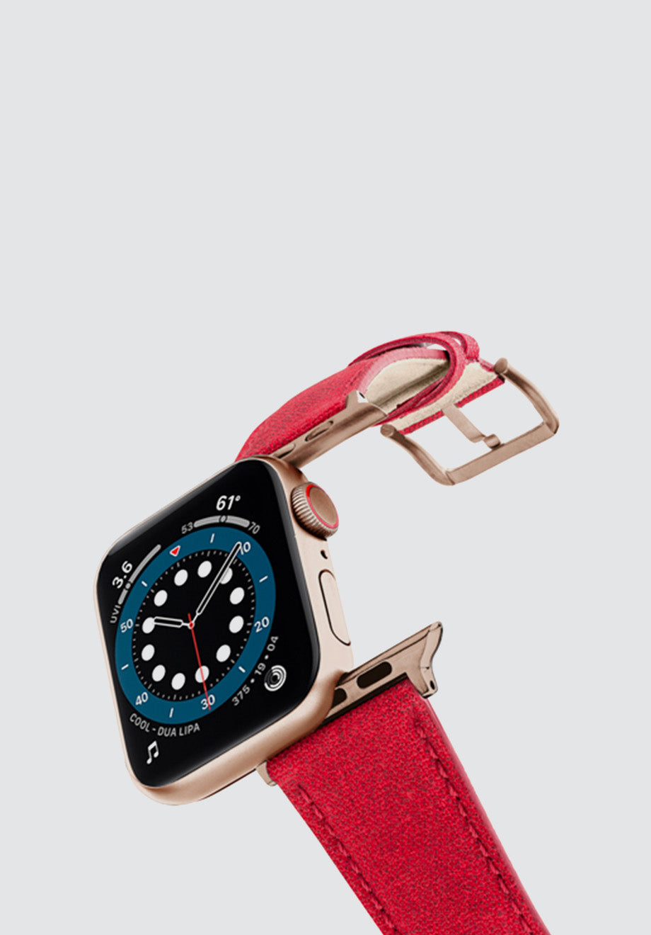 REcycled Red Apple Watch Band