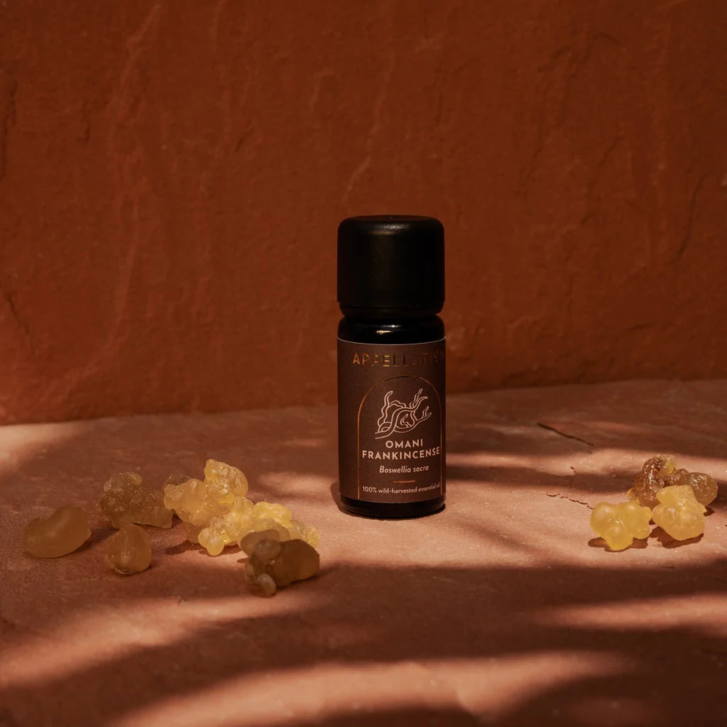 Omani Frankincense | Wild-harvested Essential Oil