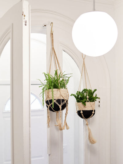 Plant Hanger | Nadu