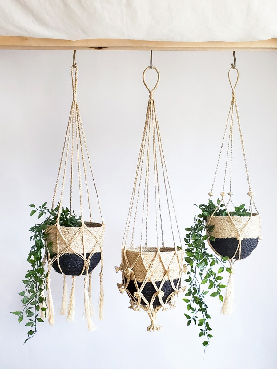 Plant Hanger | Bitan